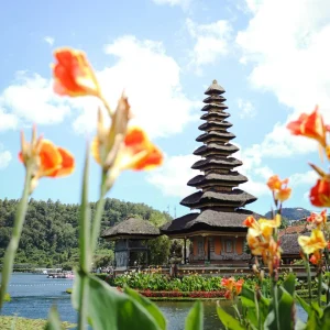 Bedugul