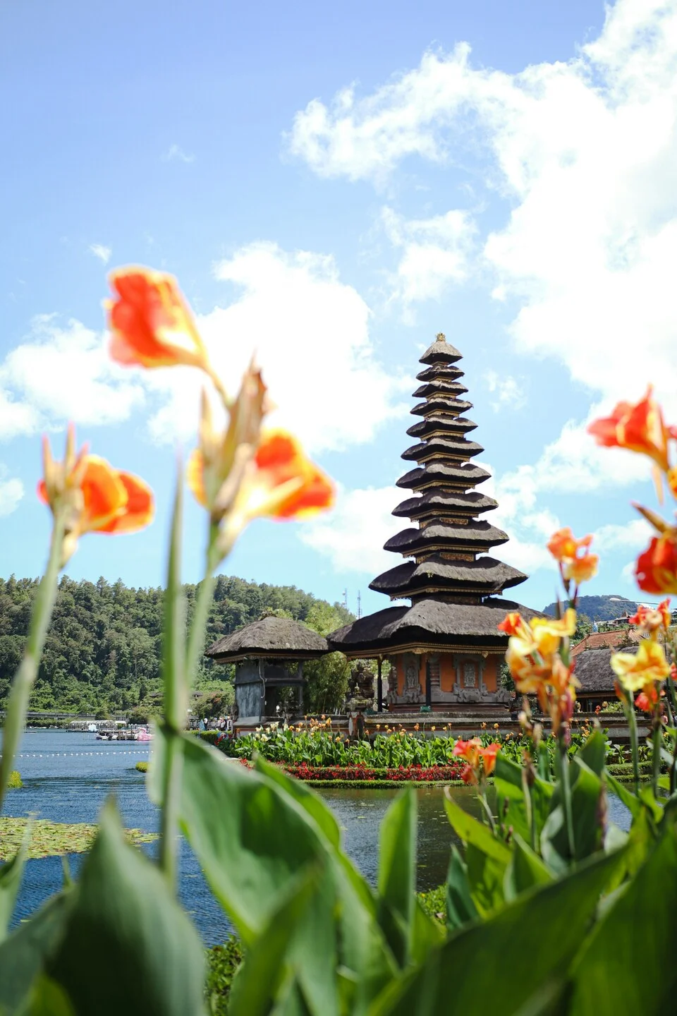 bedugul