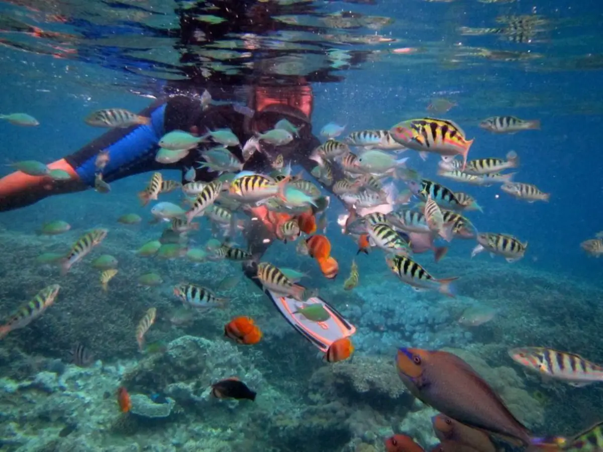 snorkeling-lembongan
