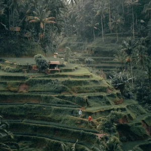 Ubud